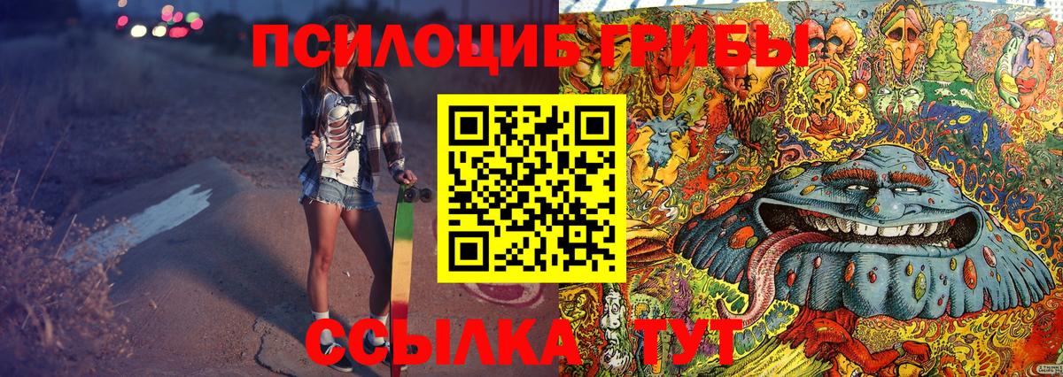 Галлюциногенные грибы Psilocybe  Псилоцибиновые грибы мицелий  Новый Уренгой  Вход с VPN 